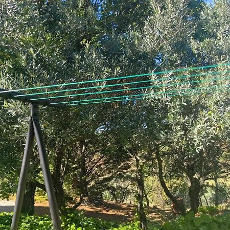 Petit Coin De Paradis En Provence Опс Екстериор снимка